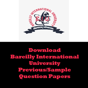 Bareilly International University Question Papers
